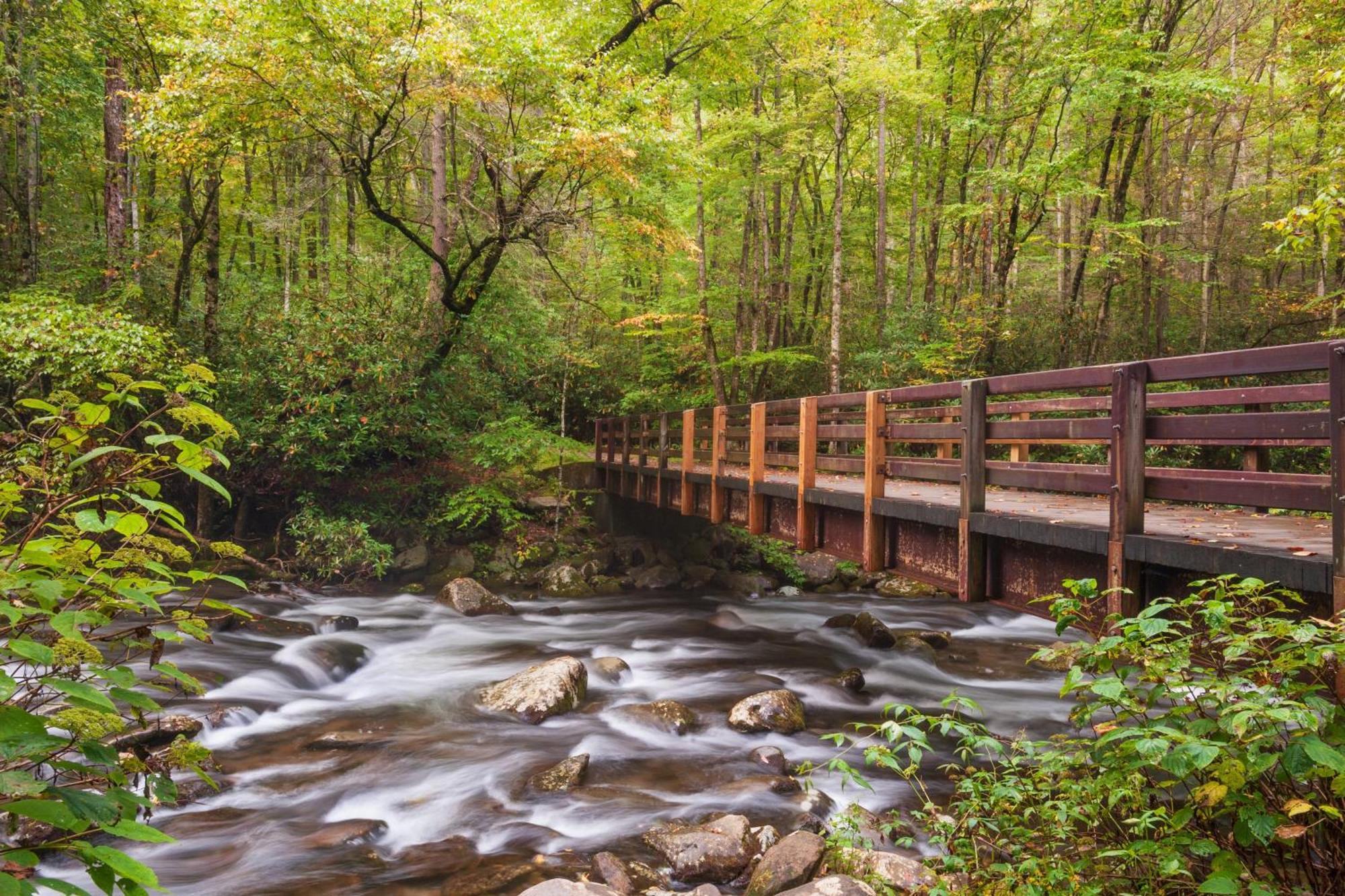 The Nut House, Hot Tub, Game Room, Wifi, 1089 Free Tickets Each Paid Day, Dollywood And More! 비둘기 포지 외부 사진